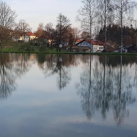 Ferienhaeuser Zum Badeweiher *