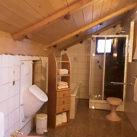 Ferienhaeuser Zum Badeweiher Neuschönau
